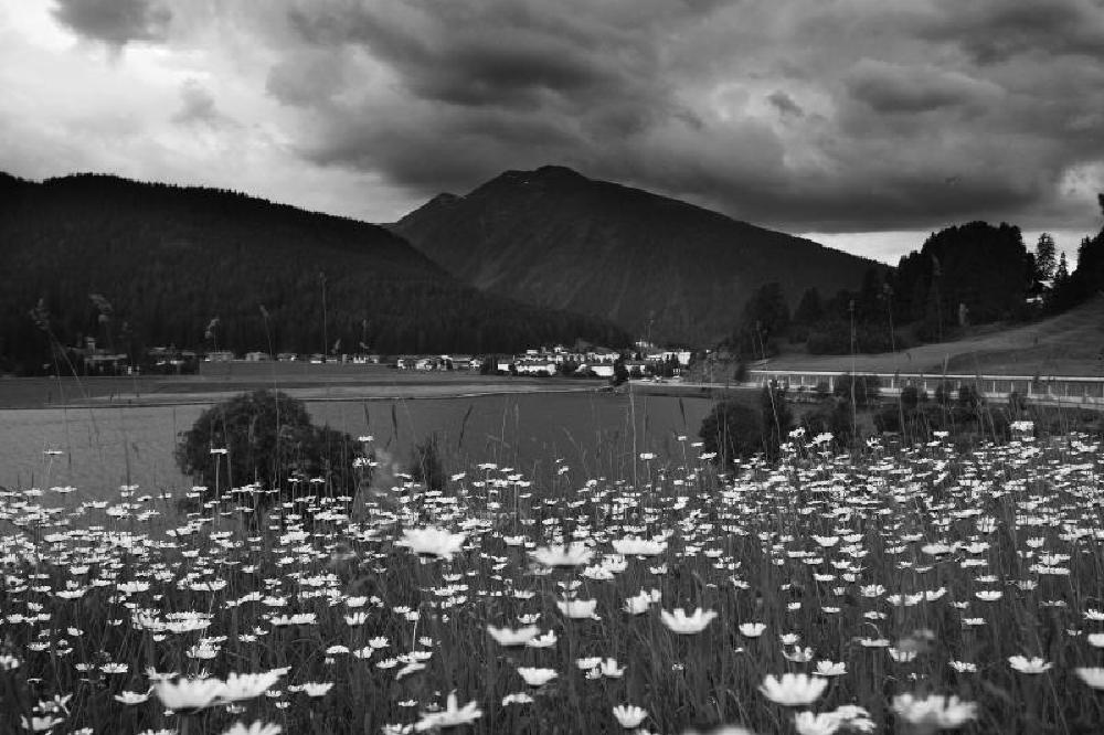 Davos B&W